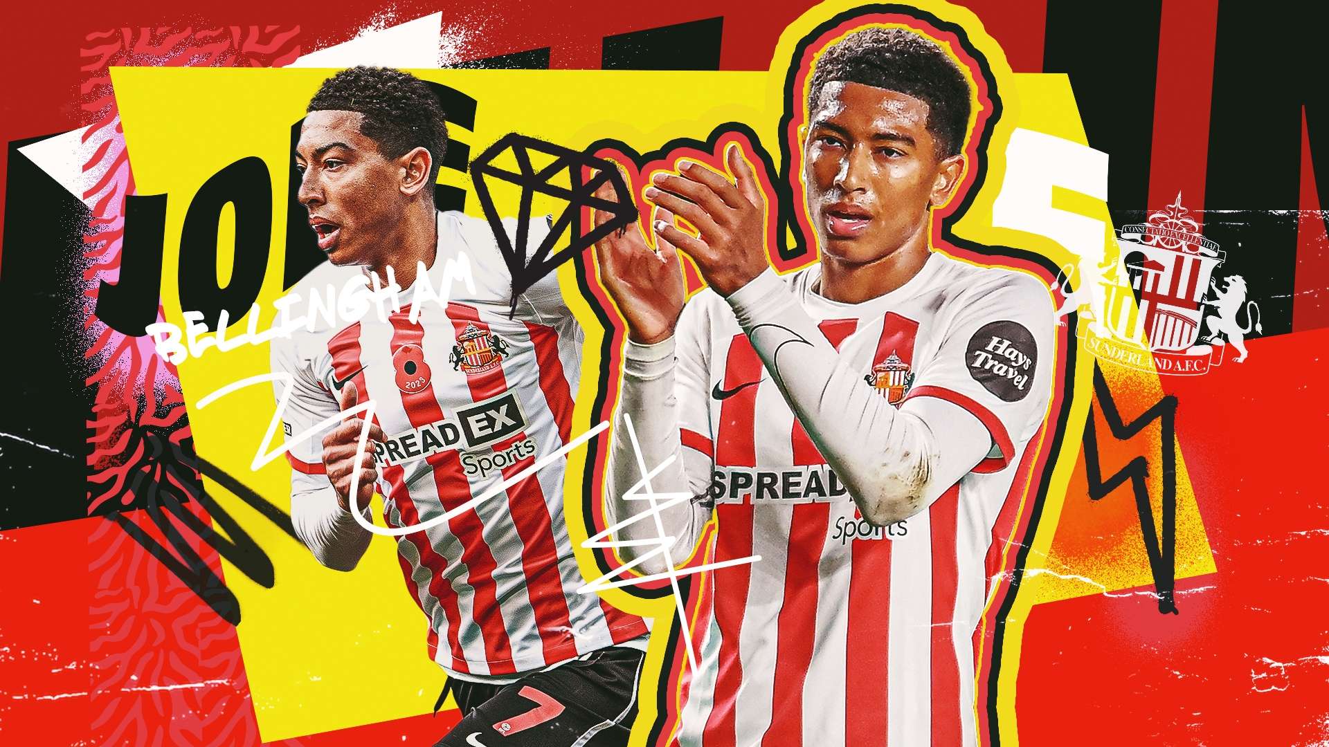 球员和稳定 球员和稳定